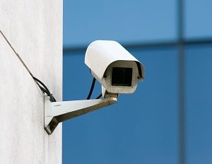Introduction to Intelligence